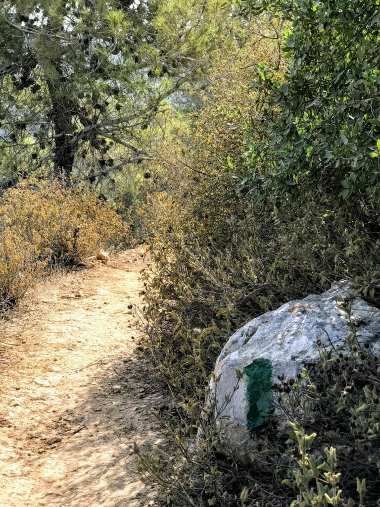 Nahal Sorek Hike.