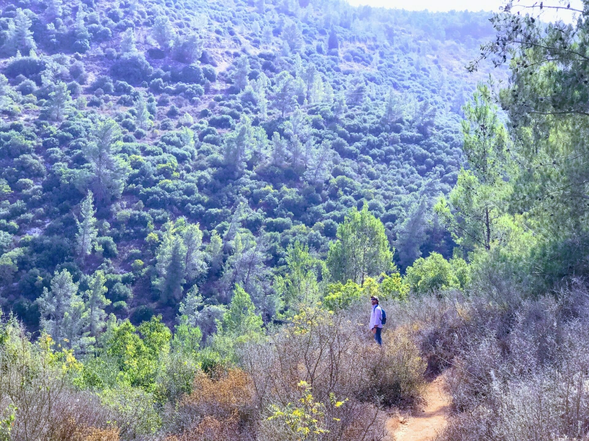 Nahal Sorek Hike.