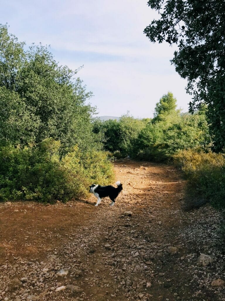 Nahal Sorek Hike.