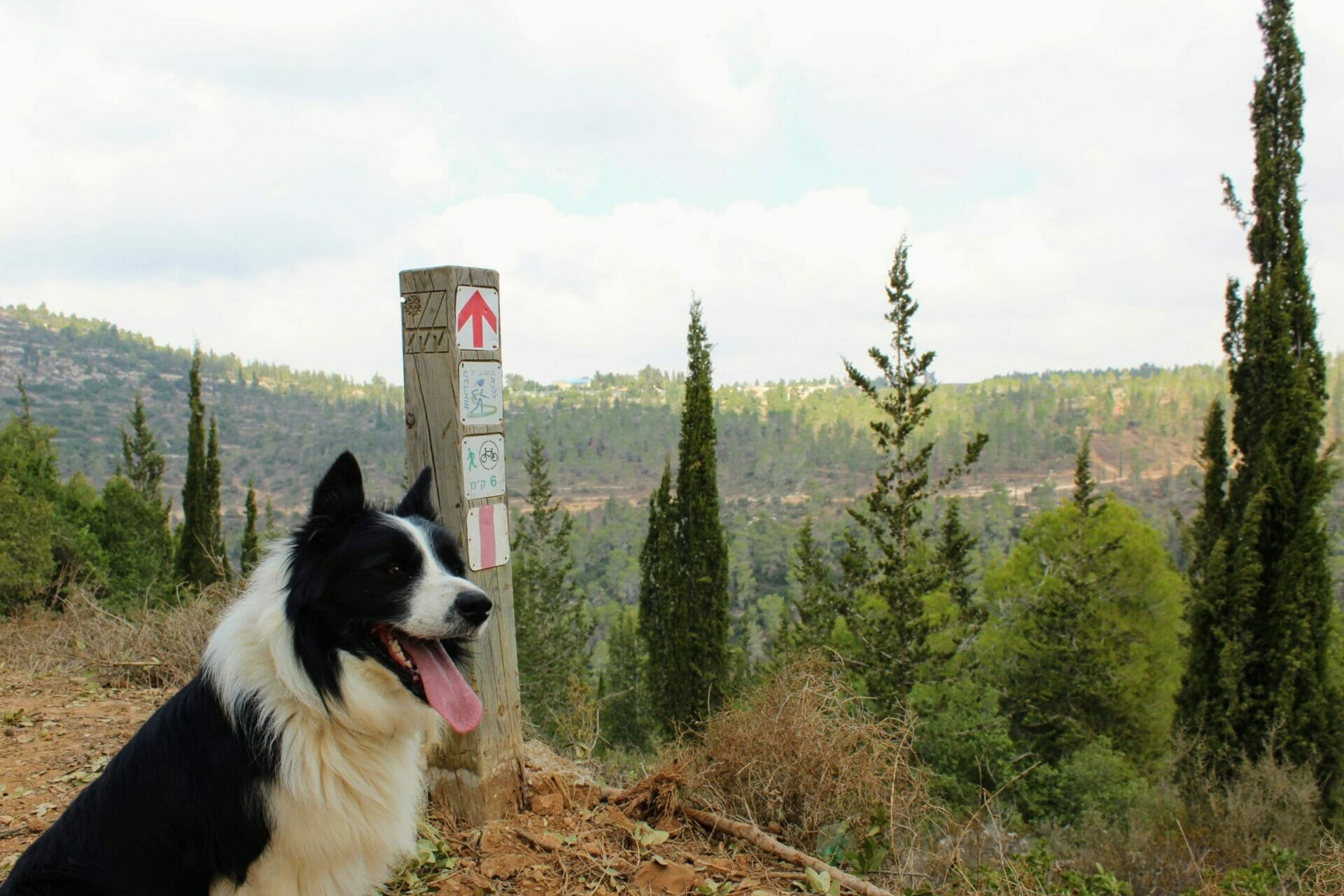 Sataf hike Mount Eitan.