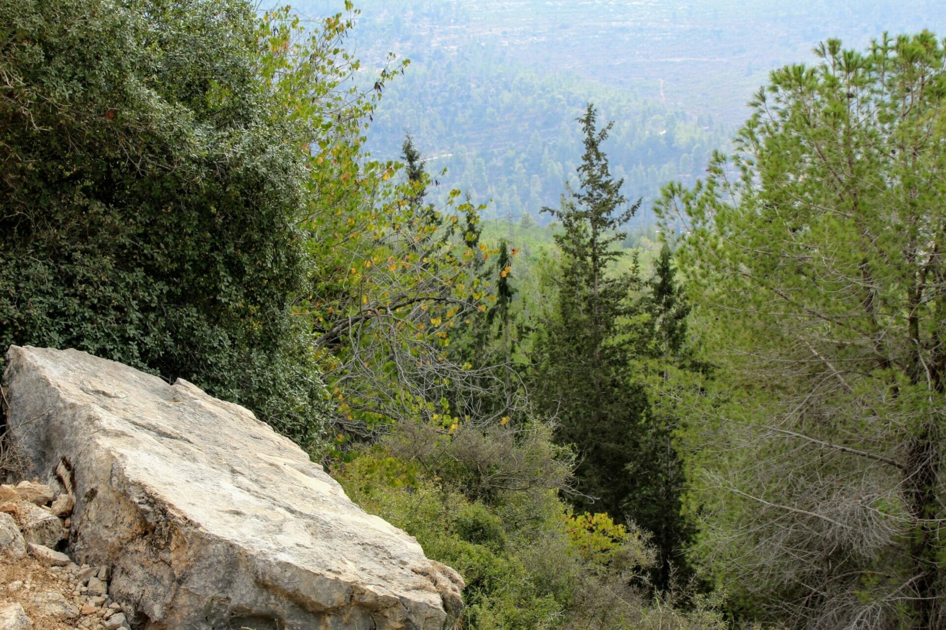 Sataf hike Mount Eitan.