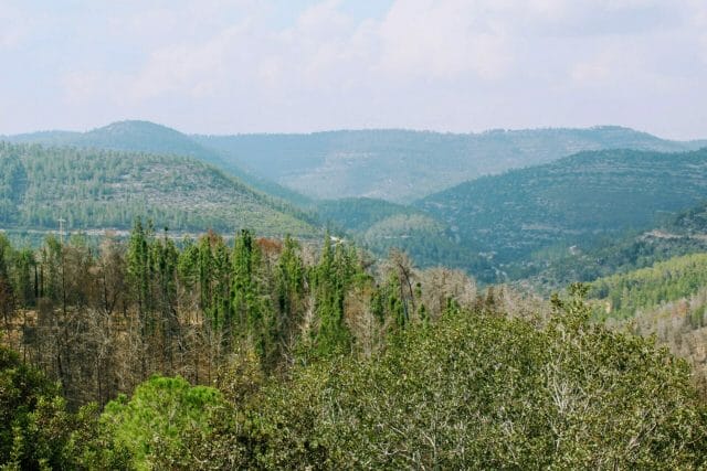 Sataf hike Mount Eitan.