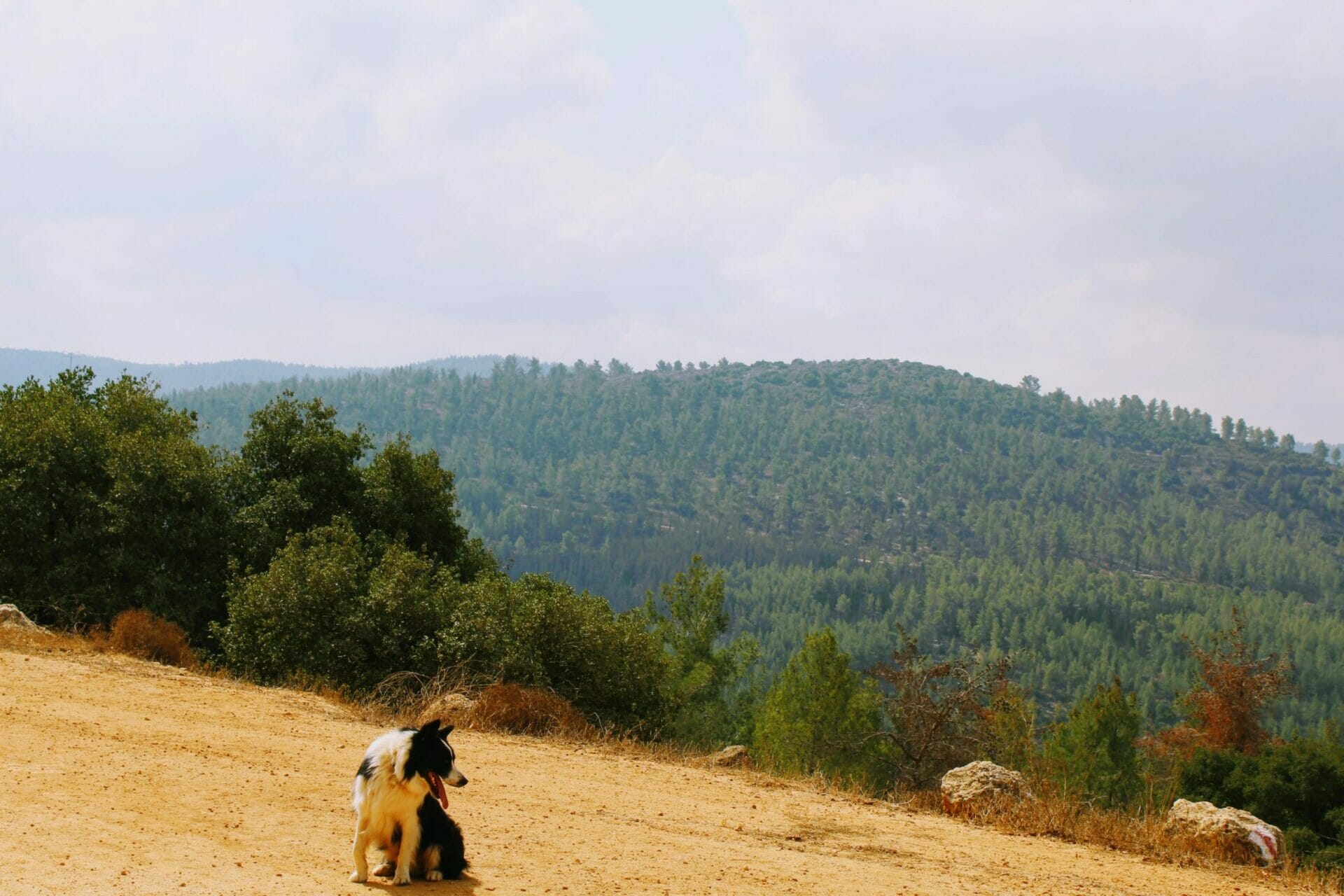 Sataf hike Mount Eitan.