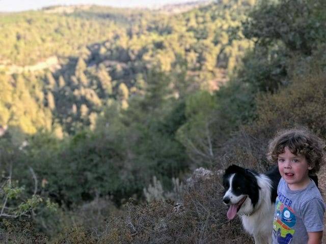 Schuster Trail Israel hike.