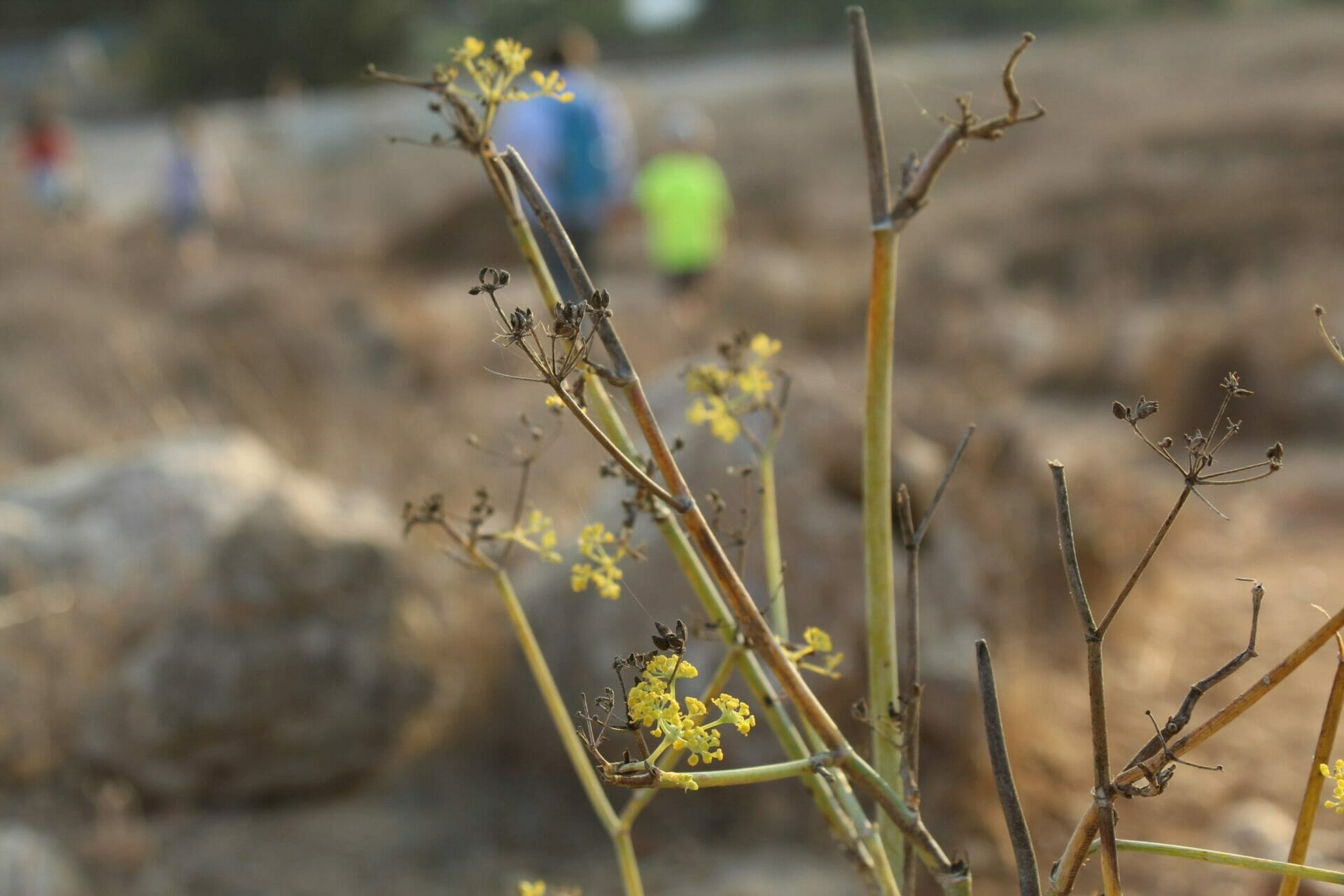 Schuster Trail Israel hike.