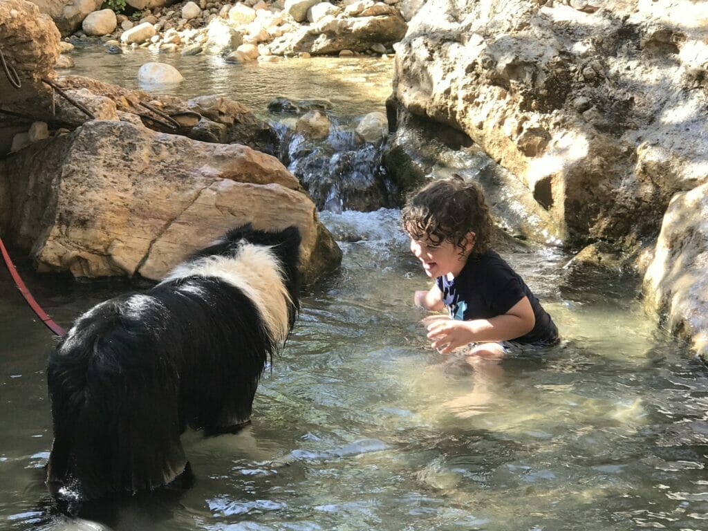 summertime hike