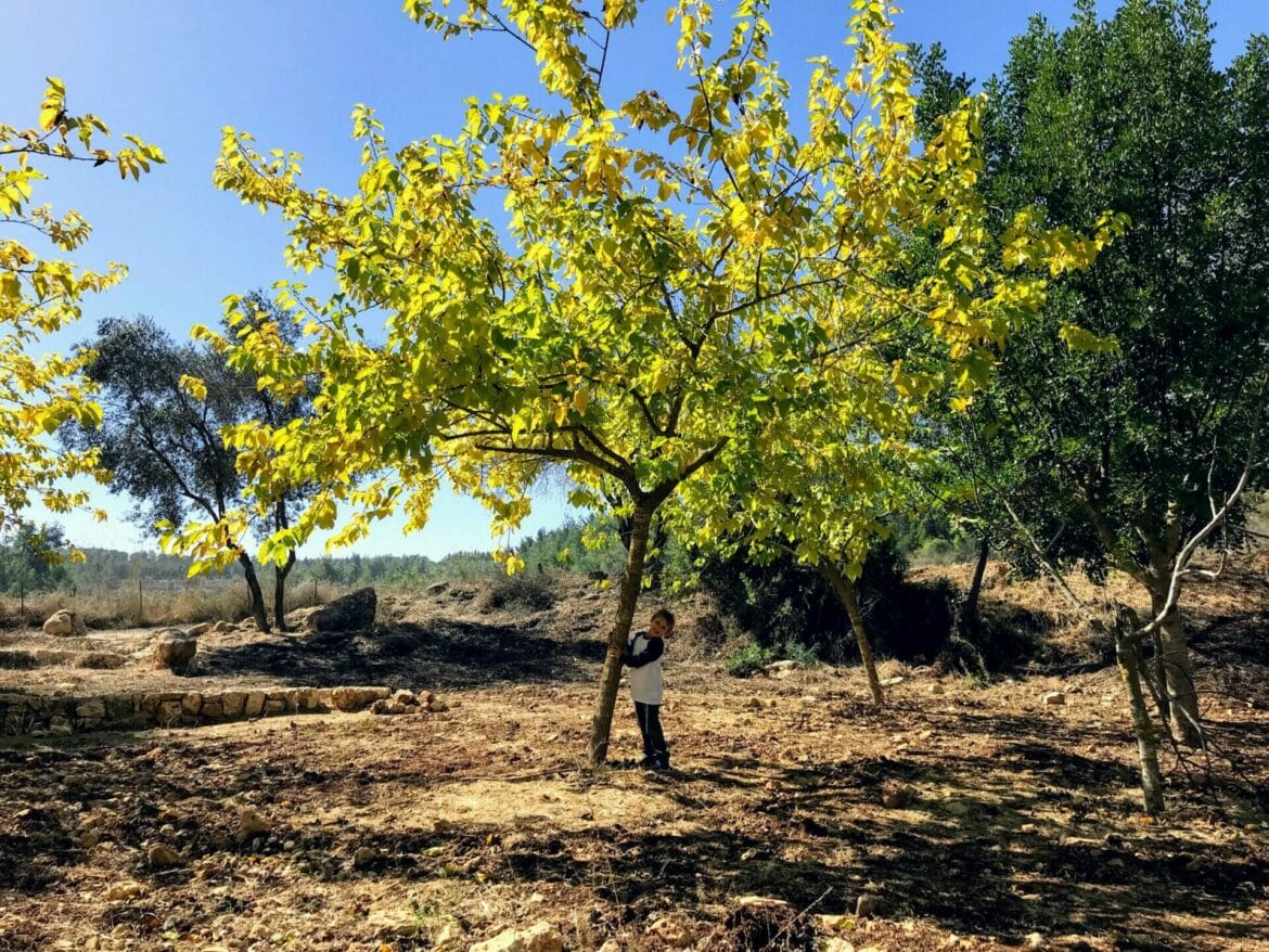 Walk to Ein Kobi