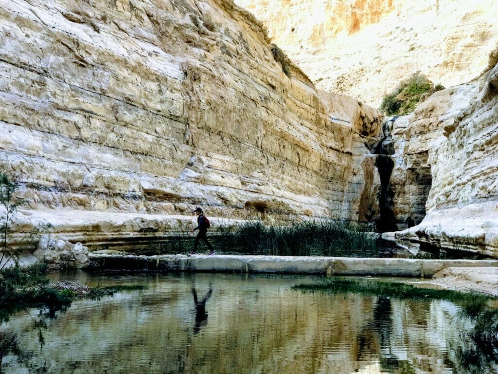 Ein Avdat reflective pools.