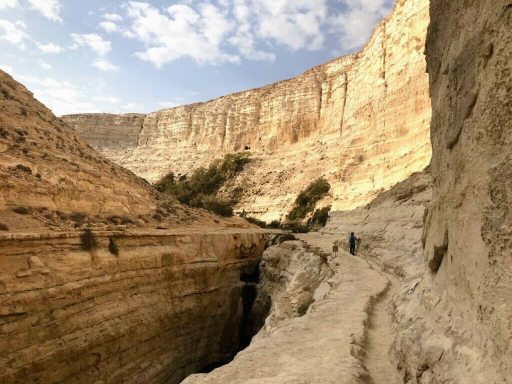 Ein Avdat canyon.