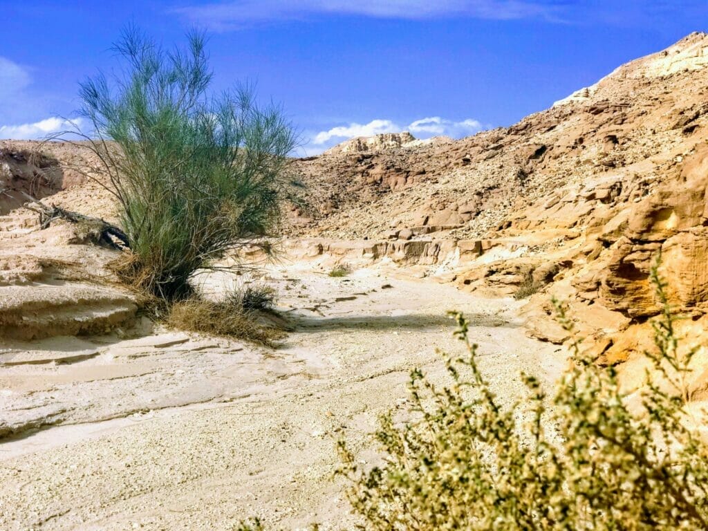 Ramon Crater Hike Ardon Mountain