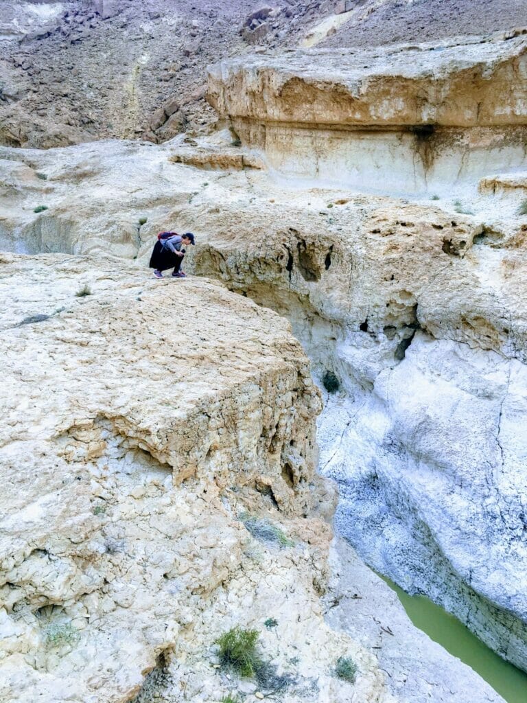 Ramon Crater - Saharonim Spring