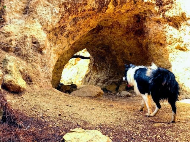 Jerusalem Springs Trail Cave