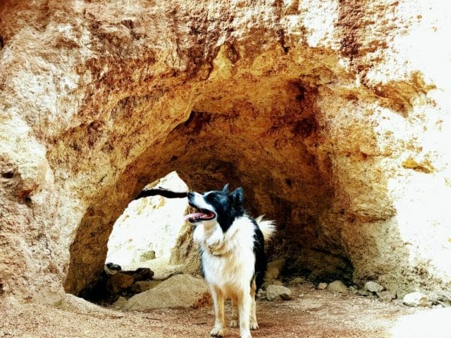 Jerusalem Springs Trail Cave with dog.
