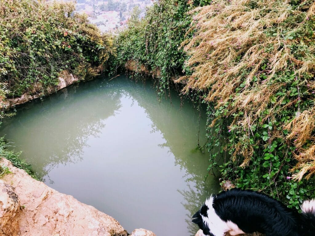 Shvil Hamaayanot-Springs Trail Jerusalem