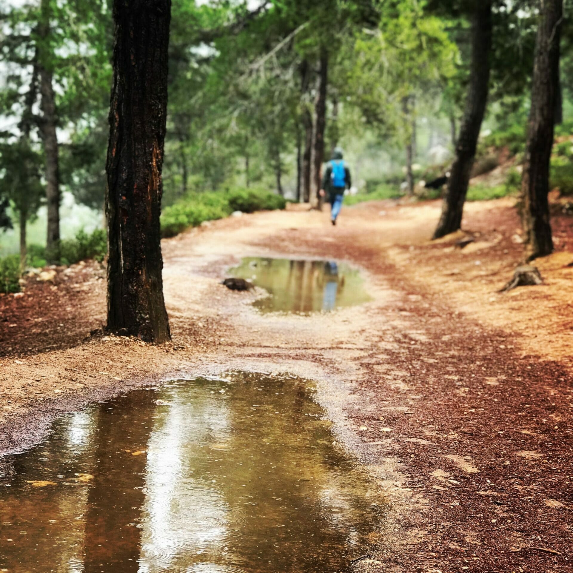 Shvil Hamayanot - Springs Trail Jerusalem