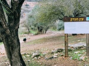 Ein Hendek. Shvil Hamaayanot hike.