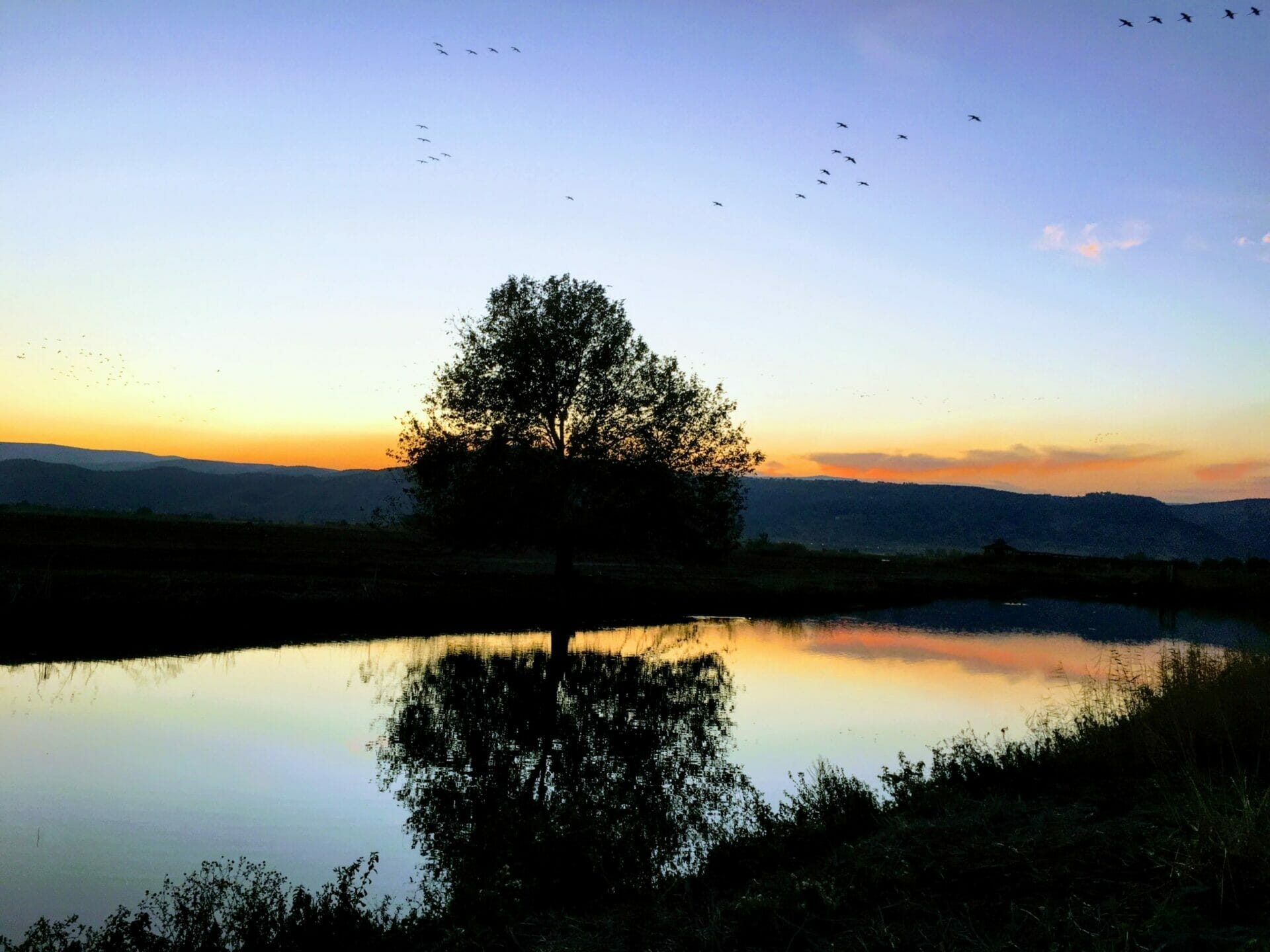 Agamon Hahula birdwatching.