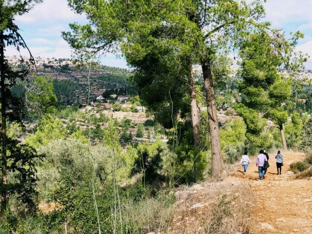 Hiking to Derech Hagefen Jerusalem.