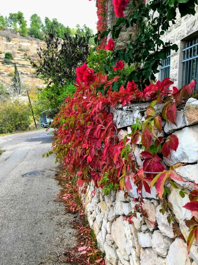 Hiking to Derech Hagefen Jerusalem.