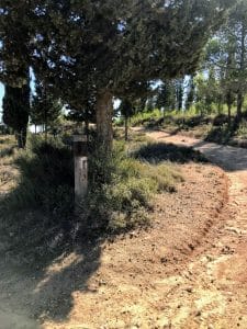 Begin Park Kobi Ruins Trail