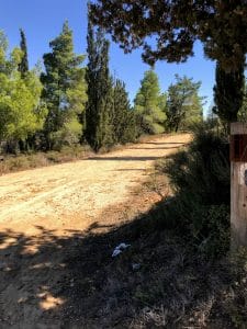 Begin Park Kobi Ruins Trail