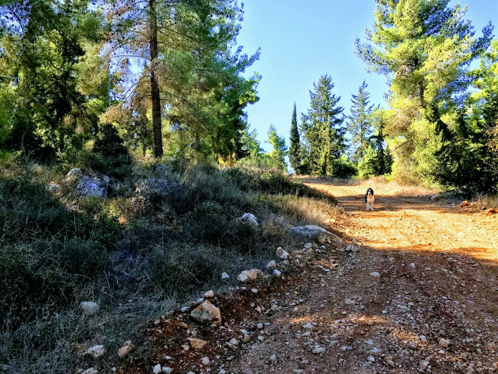 Begin Park-On the blue path to Kobi Ruins.