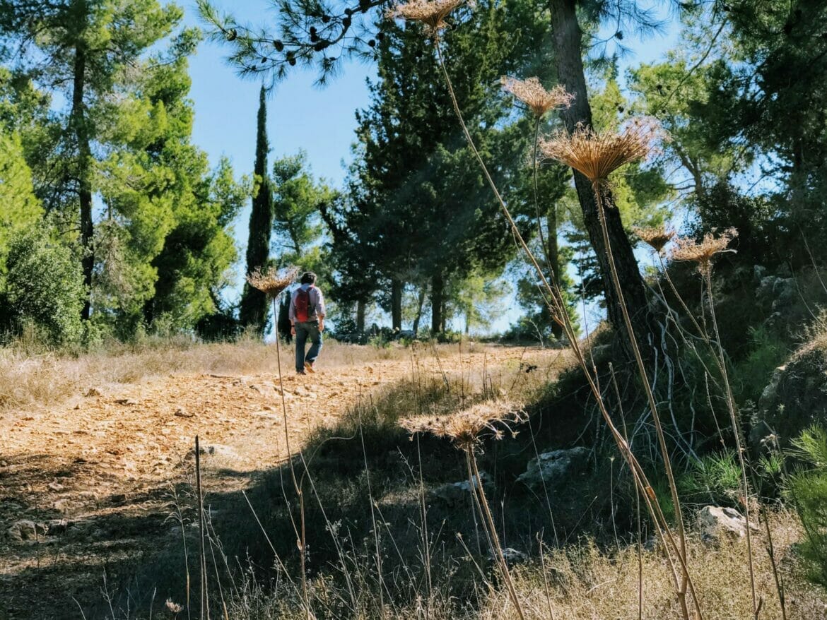 kobi ruins hike