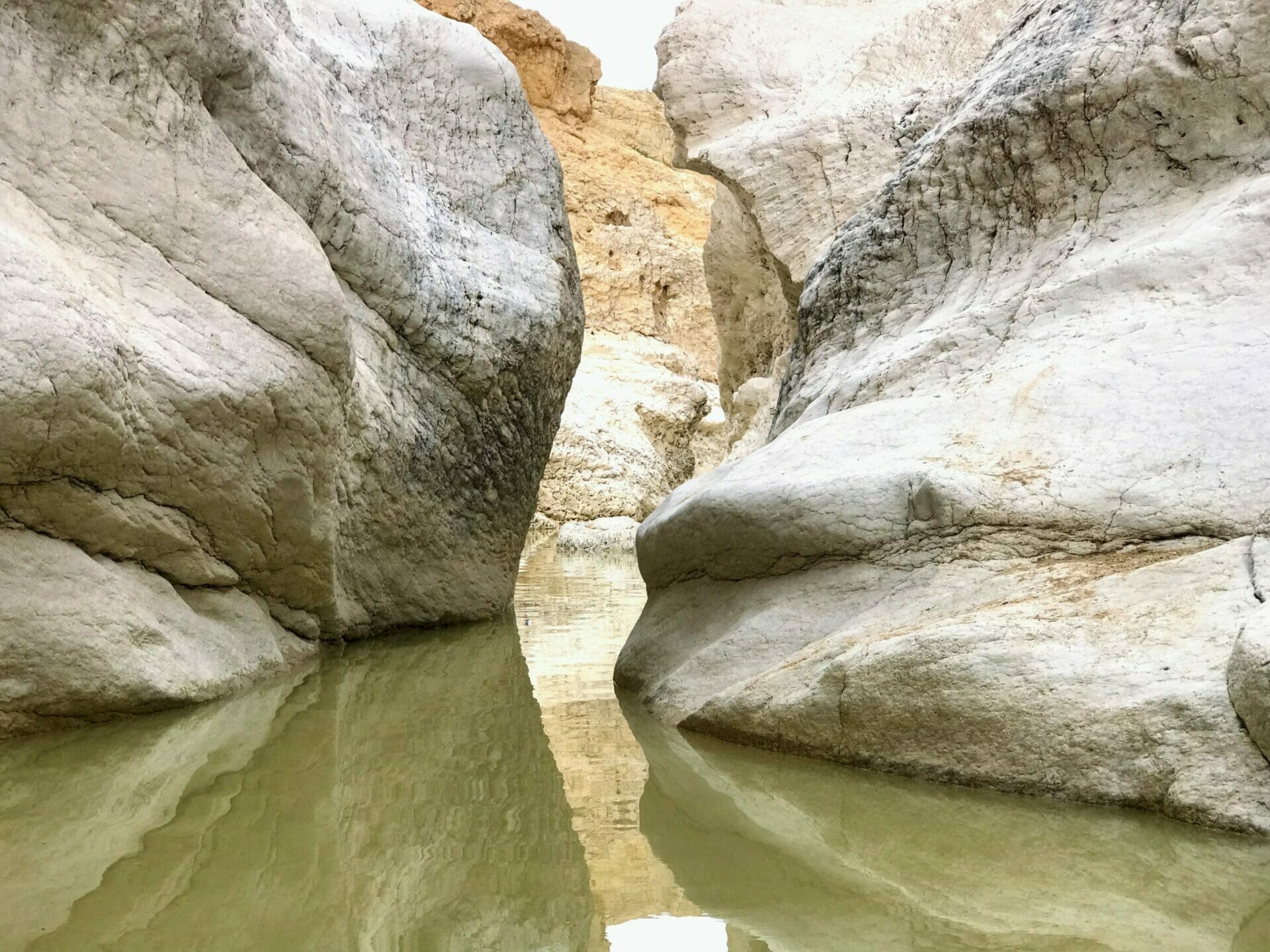 Ramon Crater - Saharonim Spring