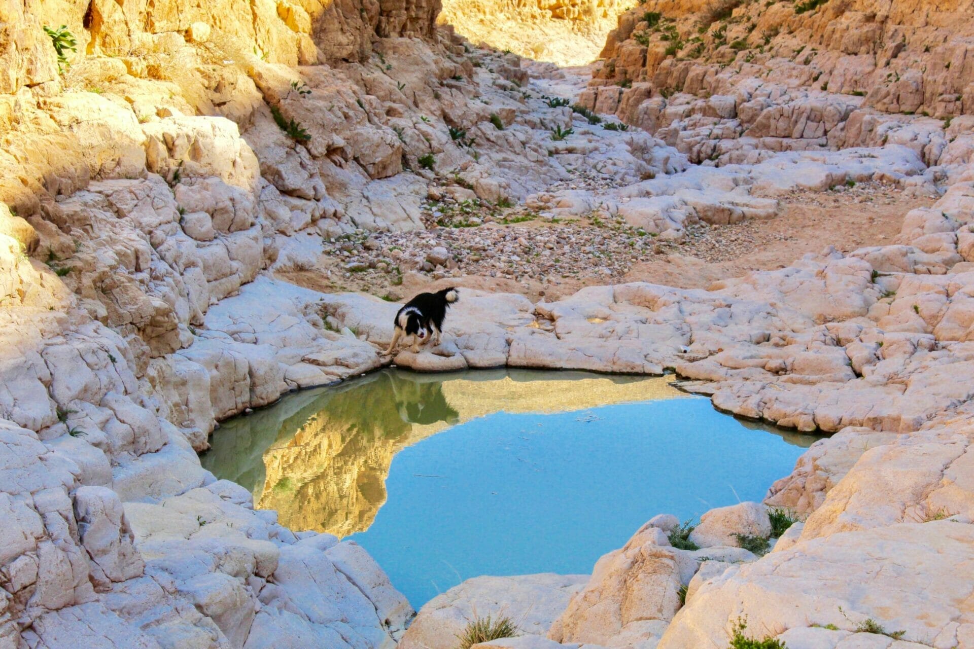 10803413616_IMG_4179 (1)