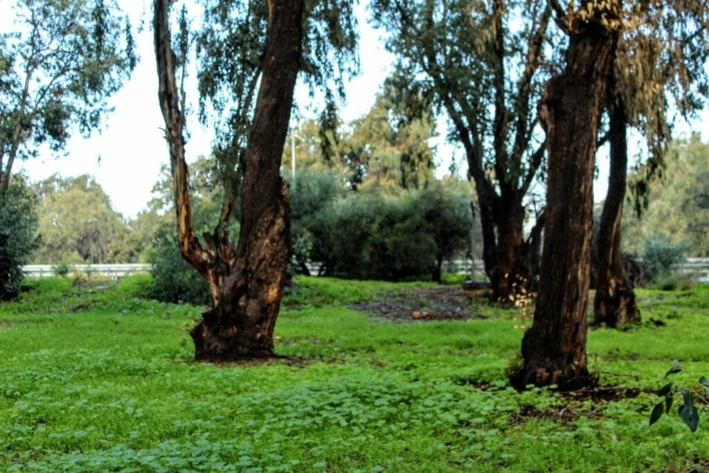 Sorek Estuary Rubin Stream Palmahim hike.
