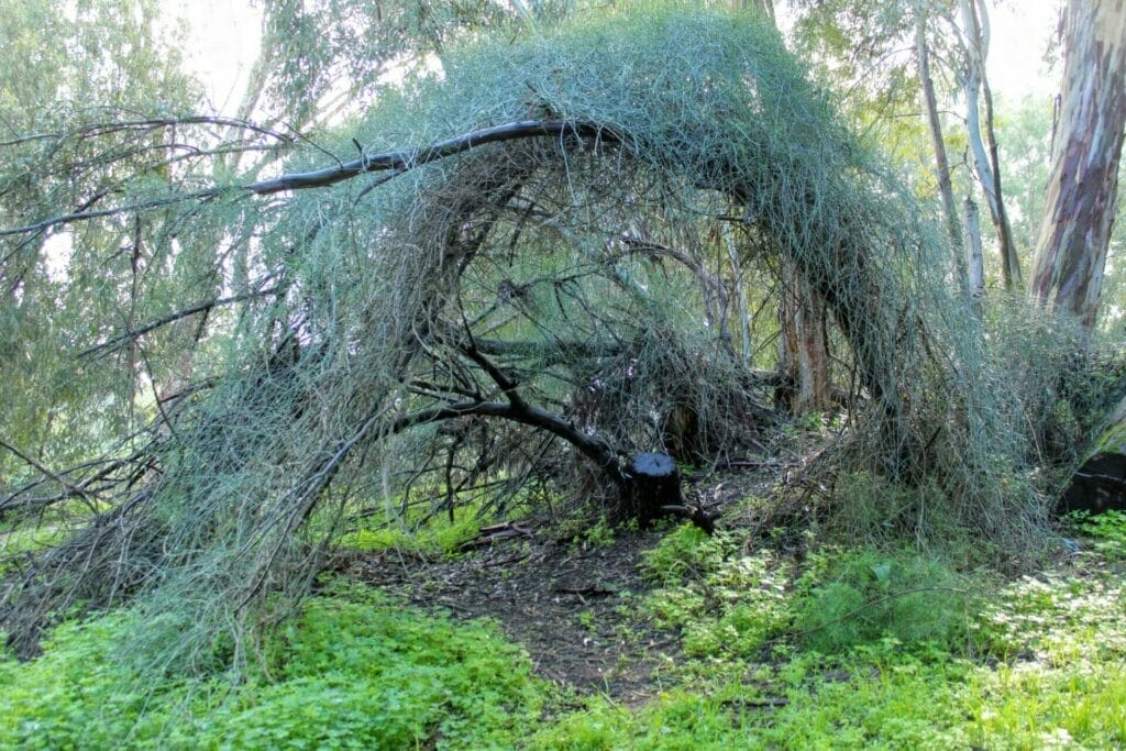 Sorek Estuary Rubin Stream Palmahim hike.