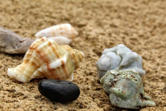 Ten Hikes for Kids Pesach