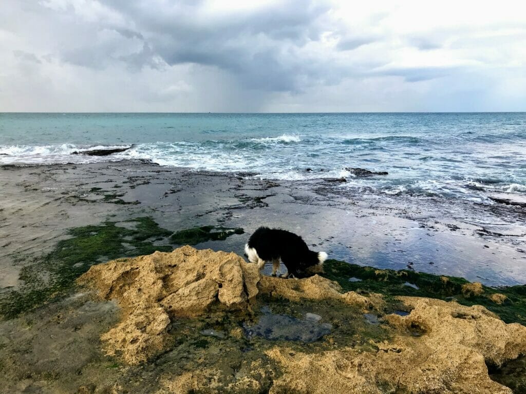 Hikes in ISrael for 4 generation families