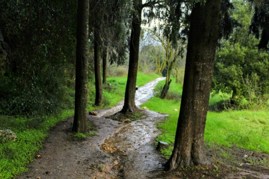 Nahal Refaim Begin Park winter river.