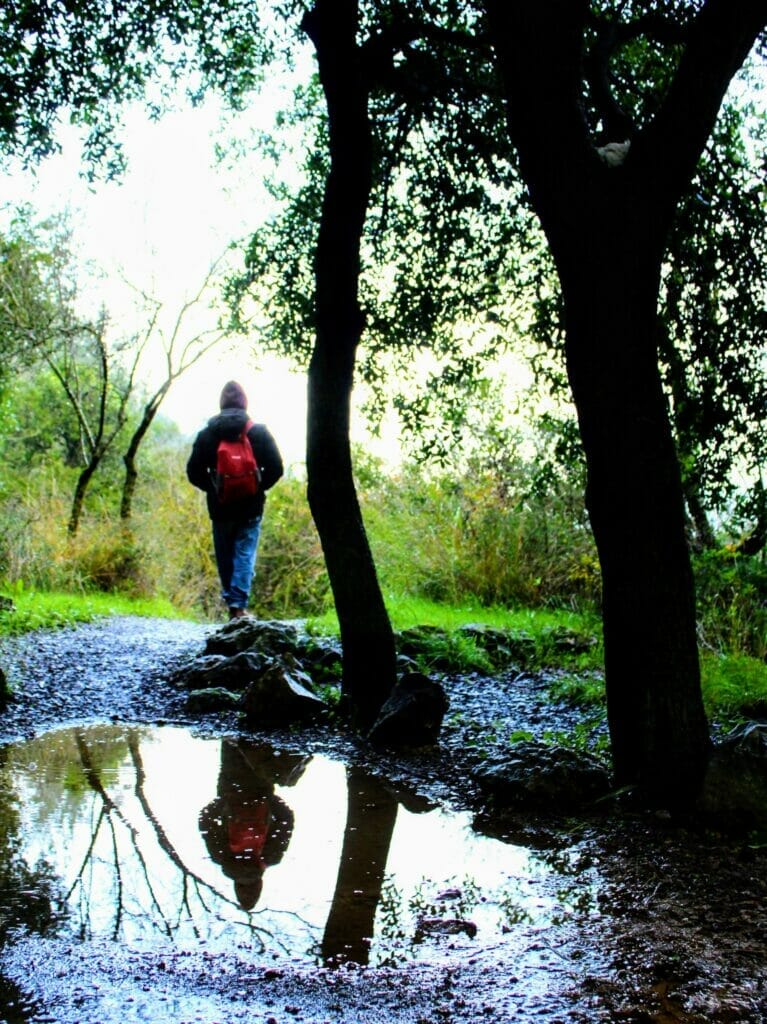 Nahal Refaim Park Begin winter river.