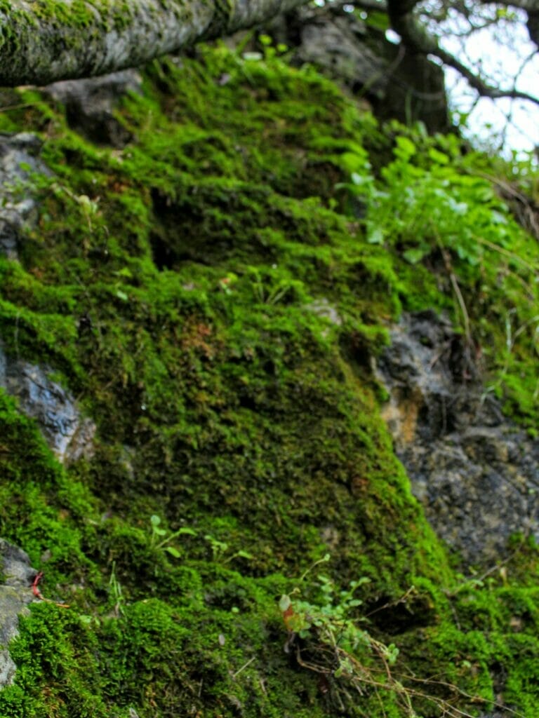 Nahal Refaim Park Begin Hike.