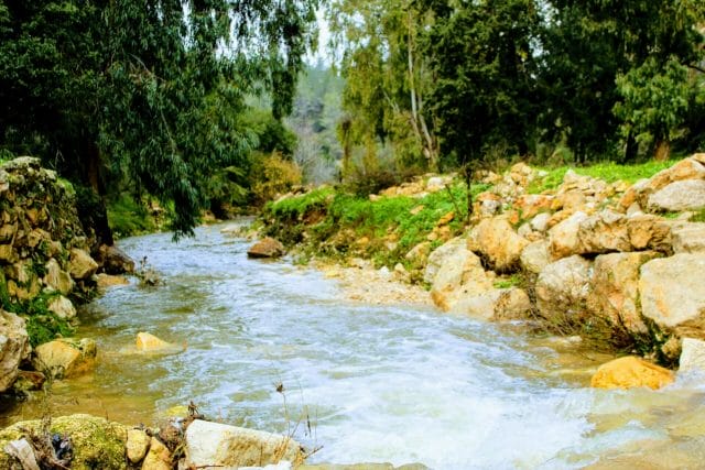Nahal Refaim Park Begin winter river.