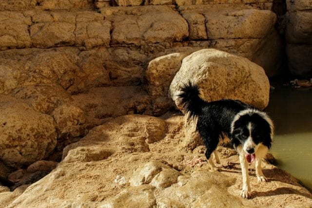 Nahal Kina hike Israel.