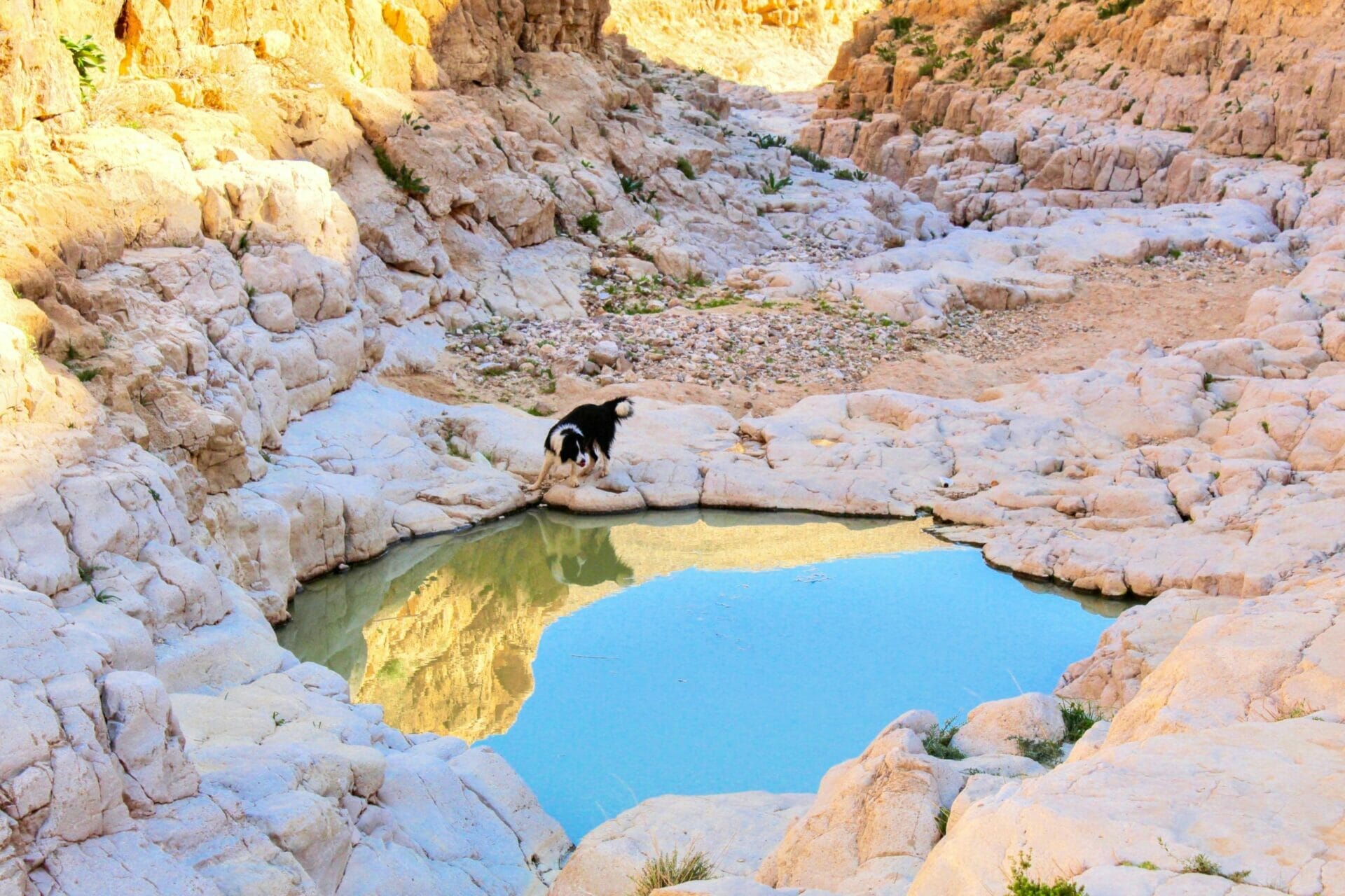 hike israel