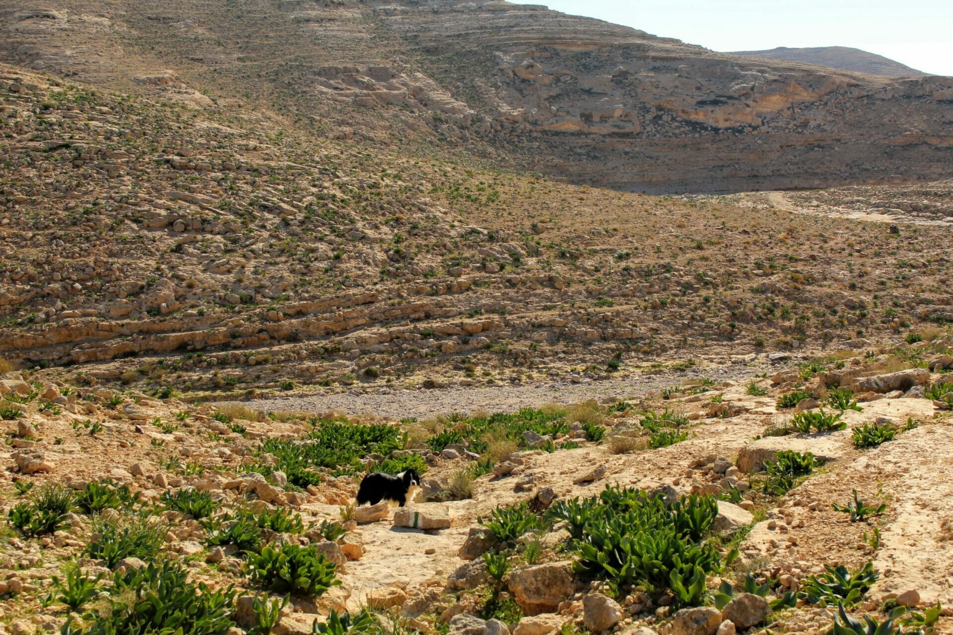 Nahal Kina hike Israel.