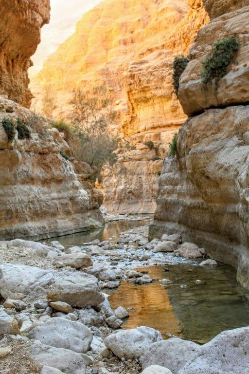 Nahal Arugot Ein Gedi Hike.