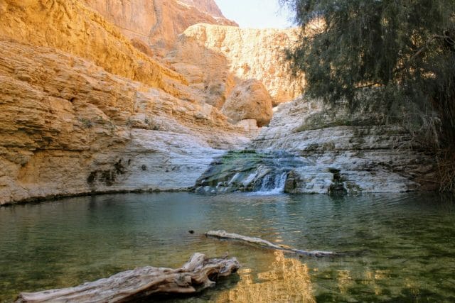 Nahal Arugot Ein Gedi hike.