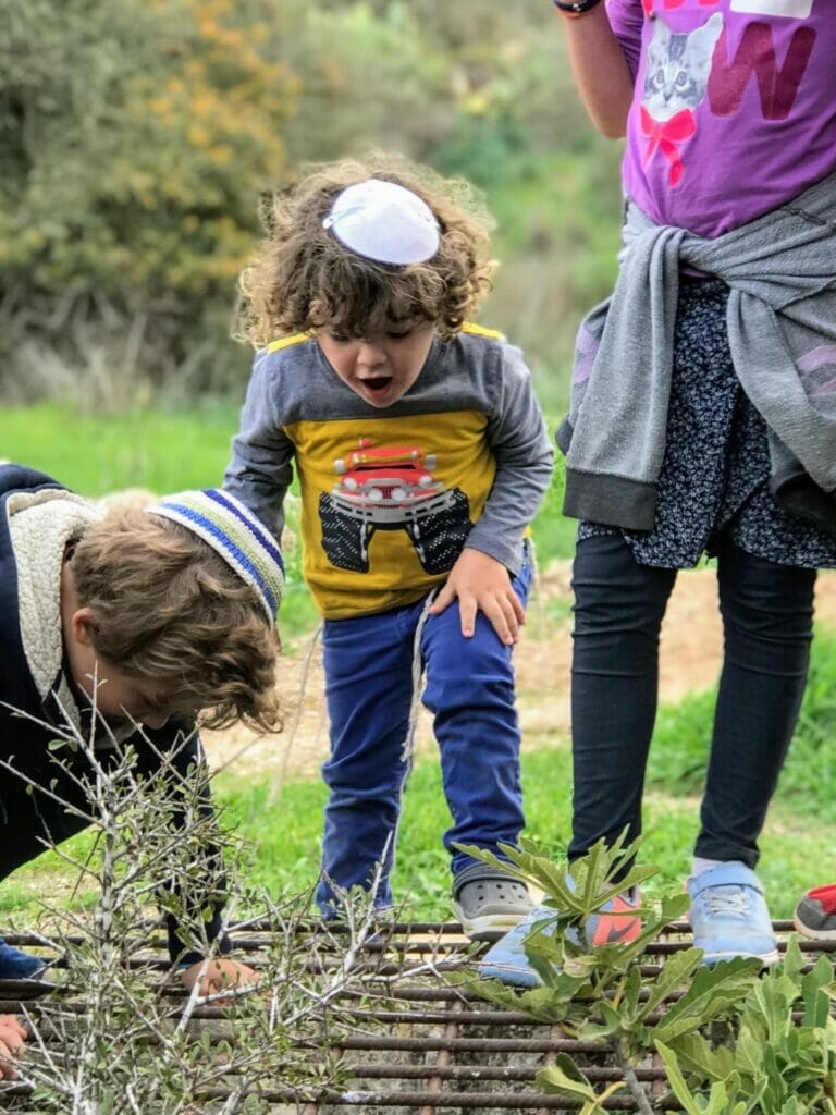 Hanukkah 2020 hikes