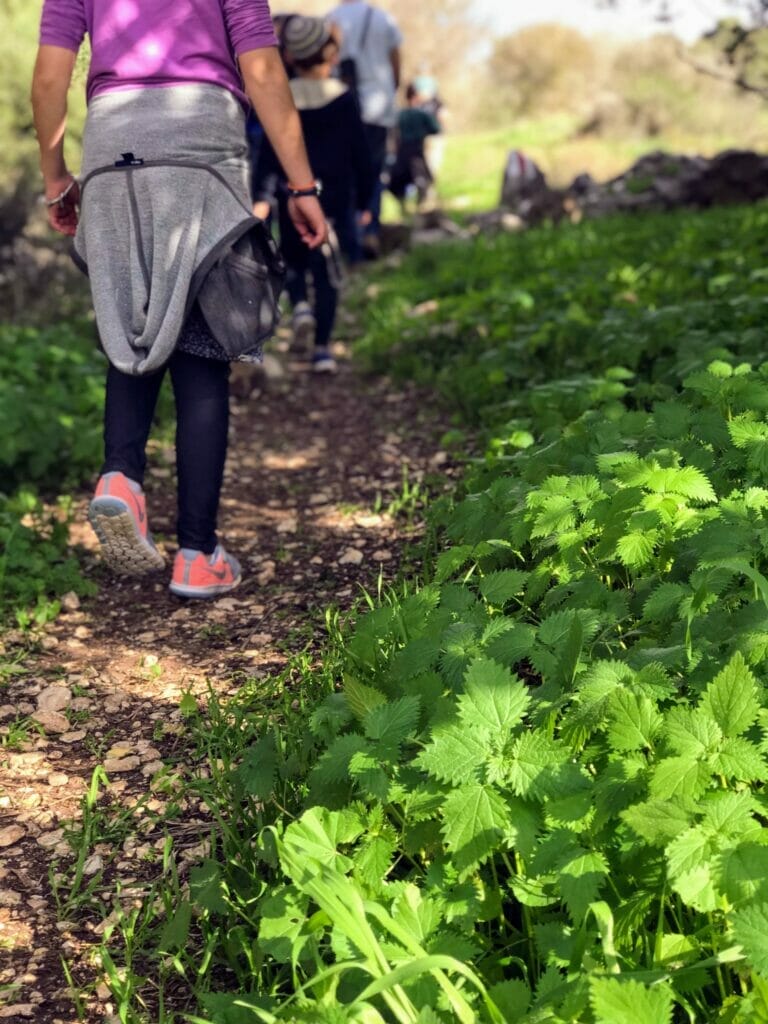 Park Britannia Hike.