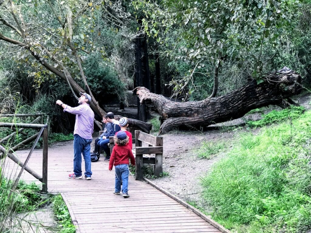 Nahal Hashofet Walking Path - Ramot Menashe