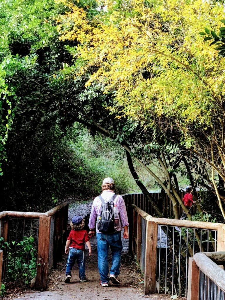 Nahal Hashofet walking path - Ramot Menashe