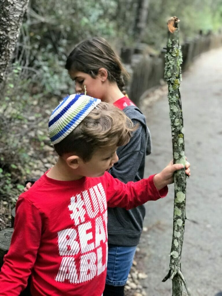 Nahal Hashofet Walking Path - Ramot Menashe