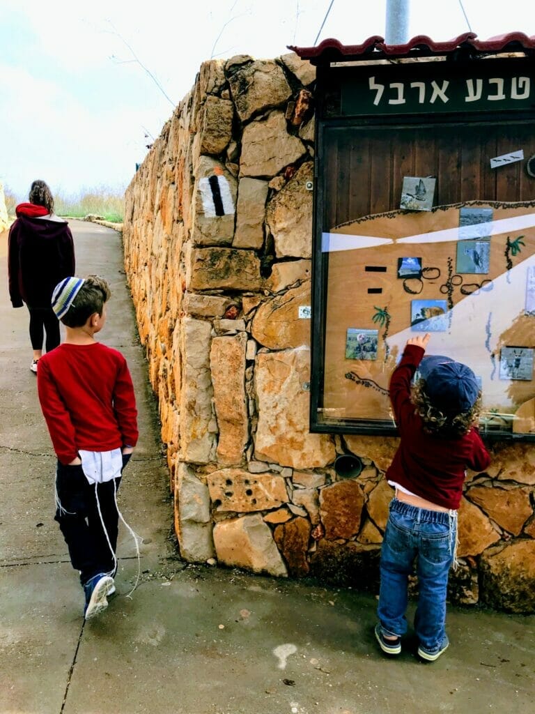 Arbel Mountain.