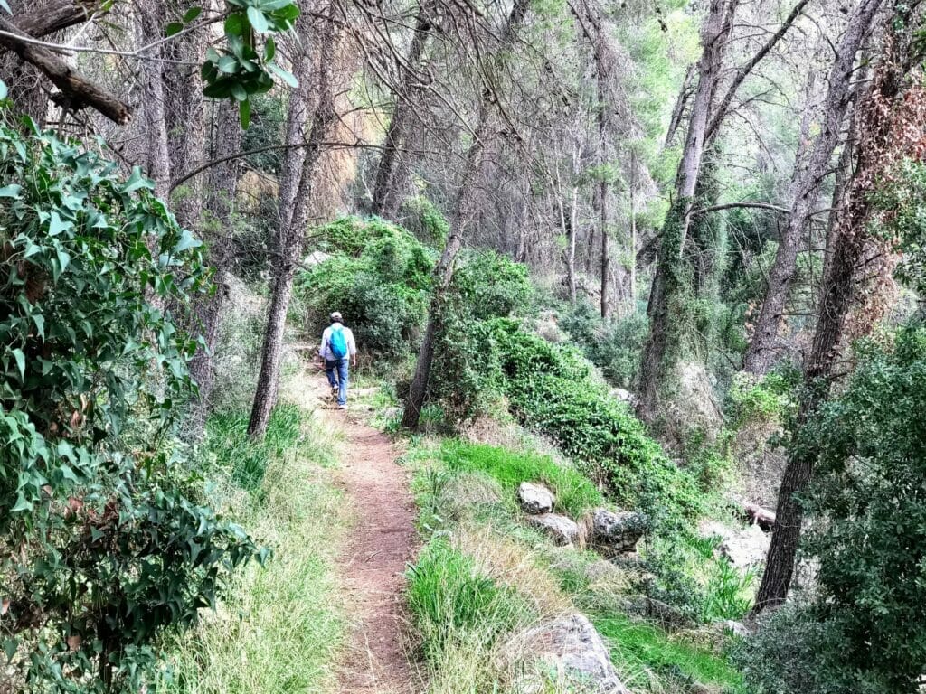 Beit Shemesh Hike - Kedoshim Forest.