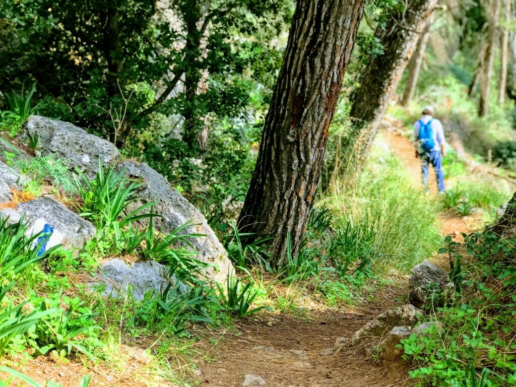 Beit Shemesh Hike - Kedoshim Forest.